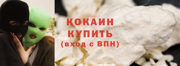 прущие грибы Волоколамск