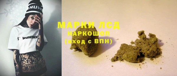прущие грибы Волоколамск