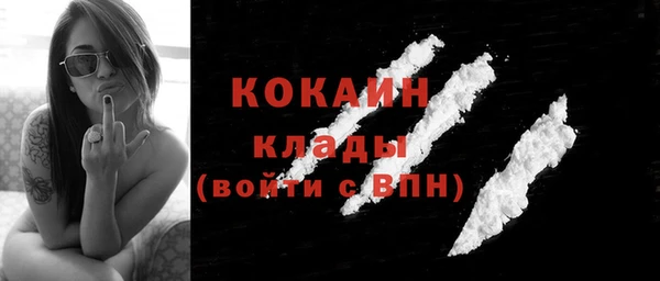 прущие грибы Волоколамск