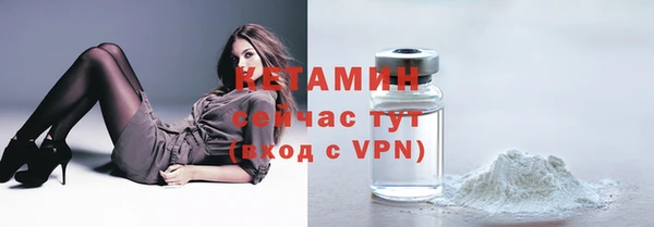 прущие грибы Волоколамск