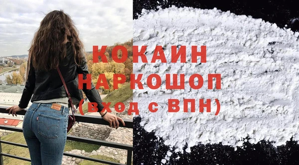 прущие грибы Волоколамск