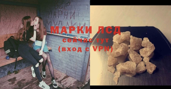 прущие грибы Волоколамск