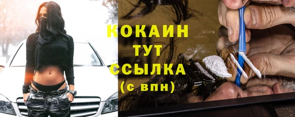 прущие грибы Волоколамск