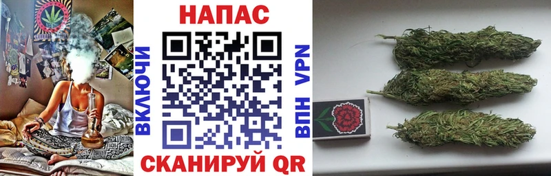 Шишки марихуана SATIVA & INDICA  купить наркотик  Псков 